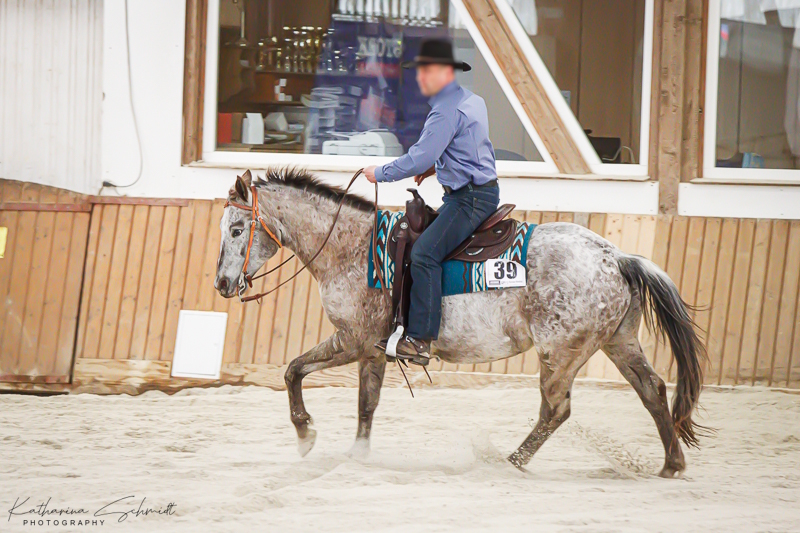 Patingo