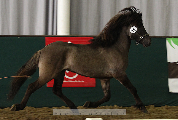 Rakni frá Ljóma